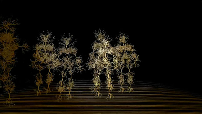 still form video of 3D mycelium people